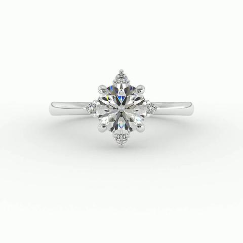 Spinshot image
