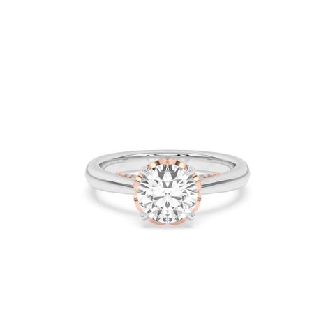 Spinshot image